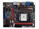 七彩虹 FM2A75系列